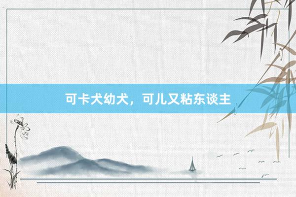 可卡犬幼犬，可儿又粘东谈主