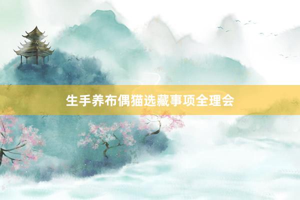 生手养布偶猫选藏事项全理会