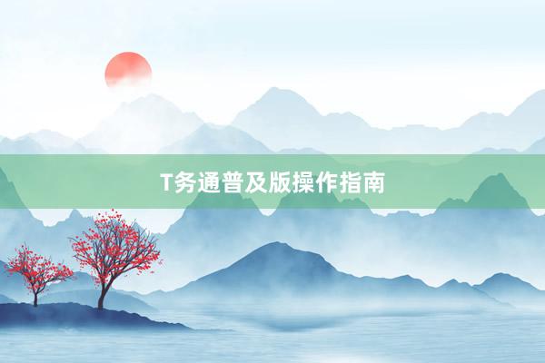 T务通普及版操作指南